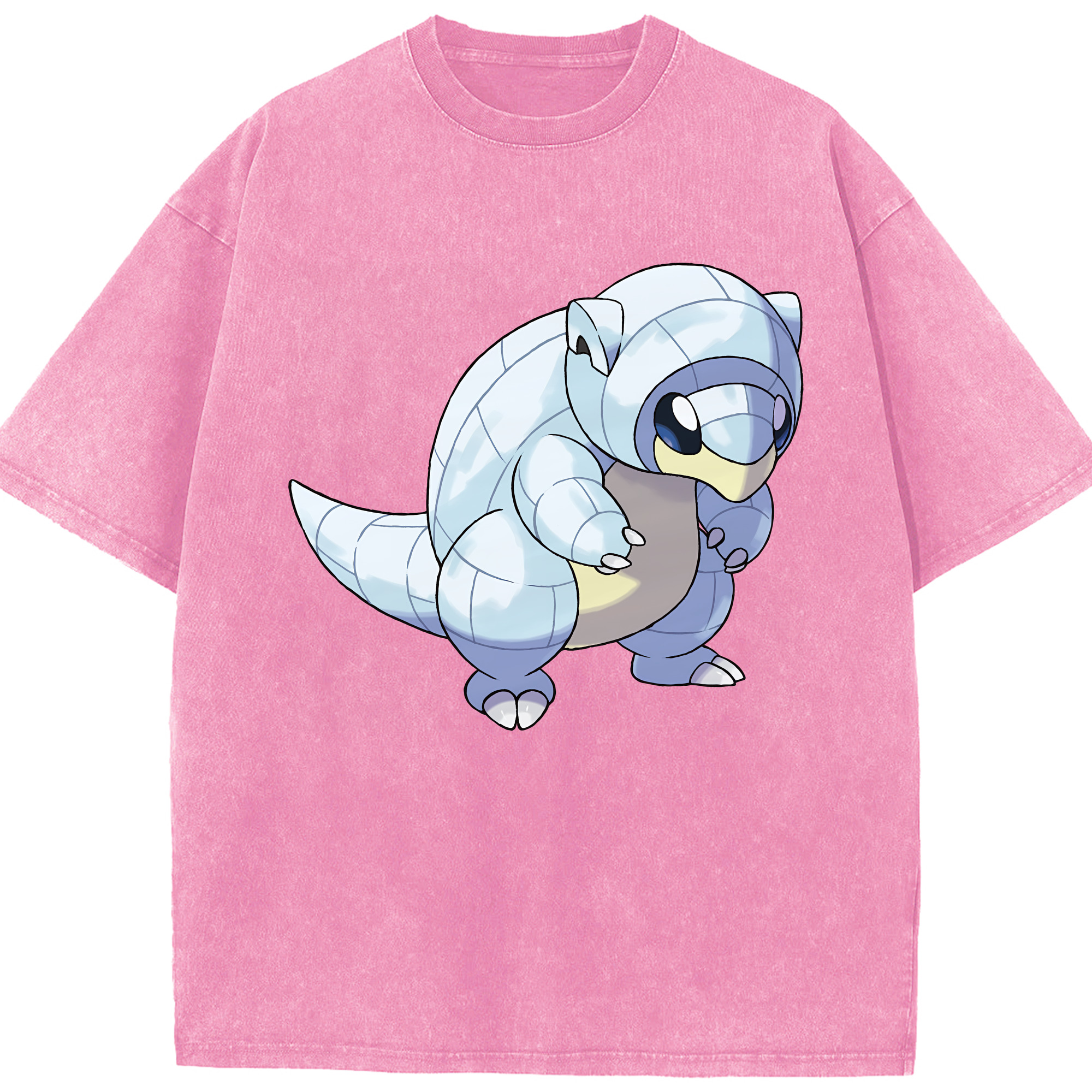 （画像用） ポケットモンスター Pokémon 綿100% ヴィンテージ風 半袖Tシャツ（フロントプリント）